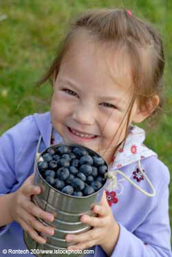 Girl with blueberries Girl with blueberries