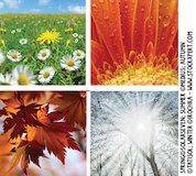Bank of images representing the seasons Bank of images representing the seasons