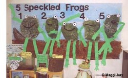 frog display frog display