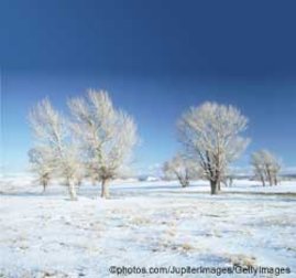 winter solstice winter solstice