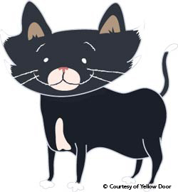 Cat illustration Cat illustration
