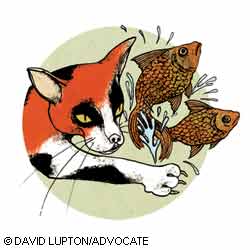 The Cat Who Beckons image The Cat Who Beckons image