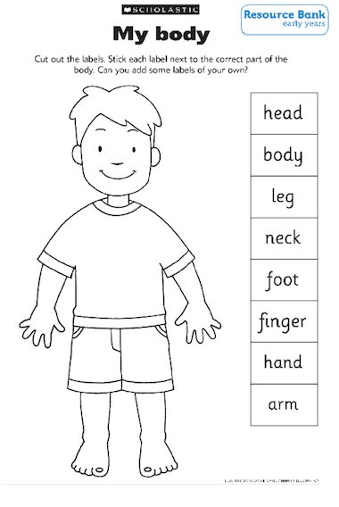 My body – Early Years teaching resource - Scholastic