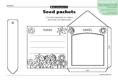Seed packets – FREE Early Years teaching resource - Scholastic