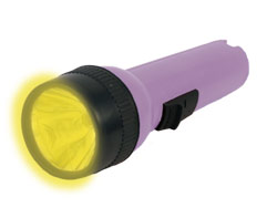 Torch Torch