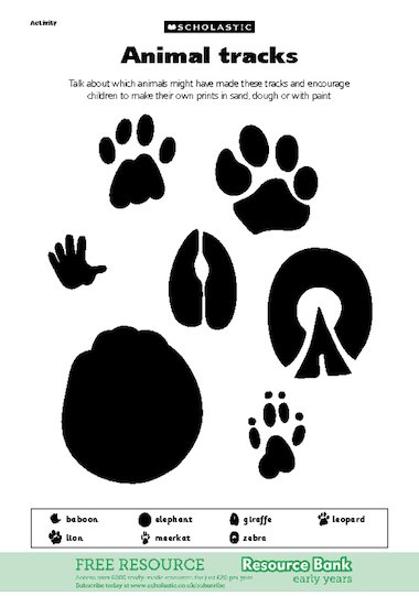Animal tracks – FREE Early Years teaching resource 