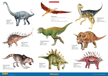 Dinosaurs illustration poster – Primary KS1 & KS2 teaching resource ...