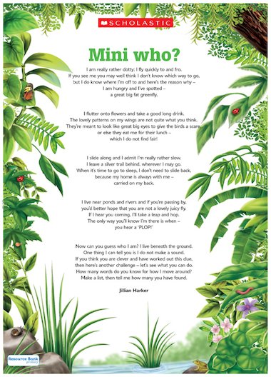 Mini who? – Minibeasts poem poster – Primary KS1 teaching resource ...