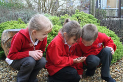 Children working outdoors