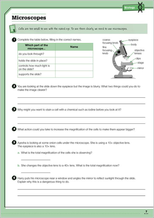 Key Stage 3 Home Learning: KS3 Year 7 Science Targeted Practice ...